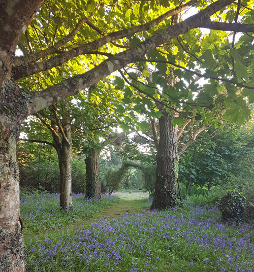 igniting the one heart fire doorway