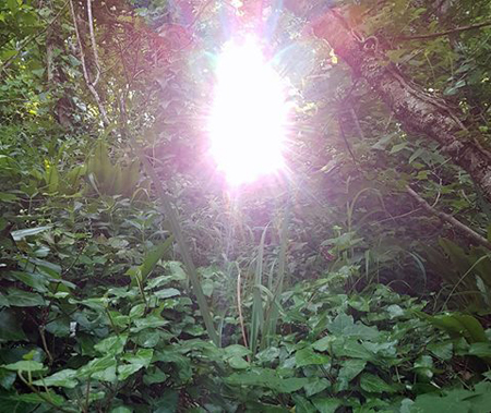 Spirit of the Lelant Fairy Well?